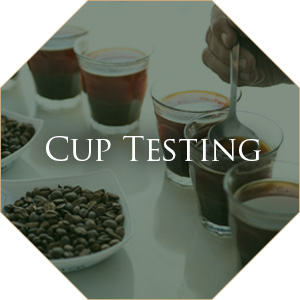 Cup Testing