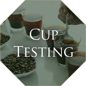 Cup Testing