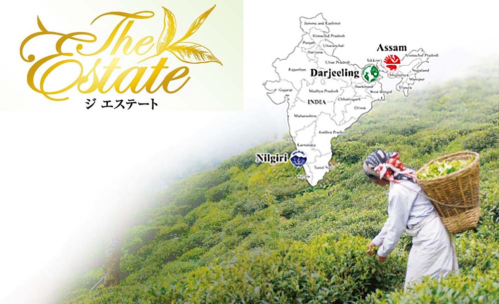 キーコーヒー紅茶ブランド