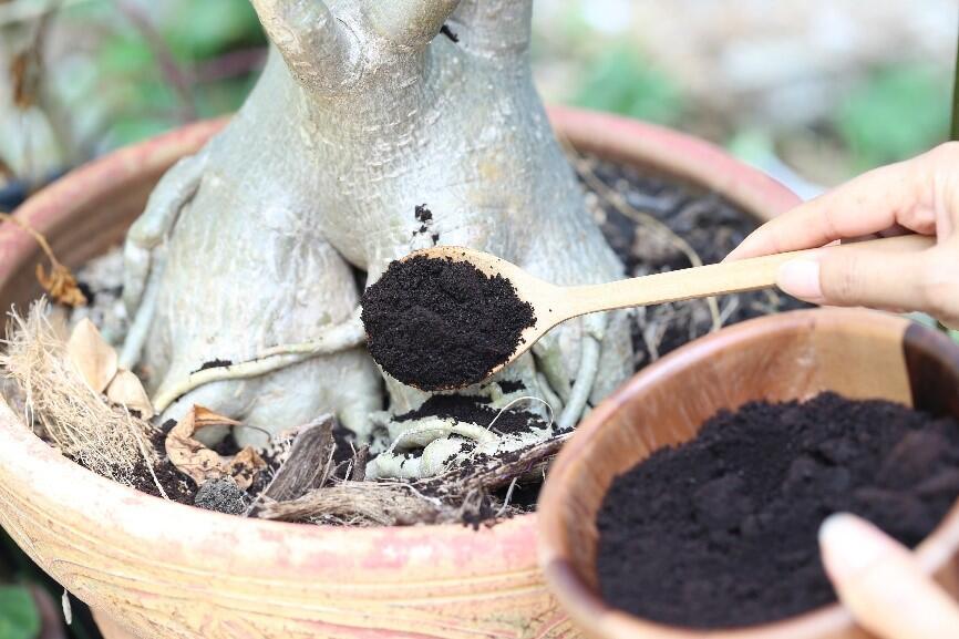 『肥料・堆肥』にしてコーヒーの粉を再利用