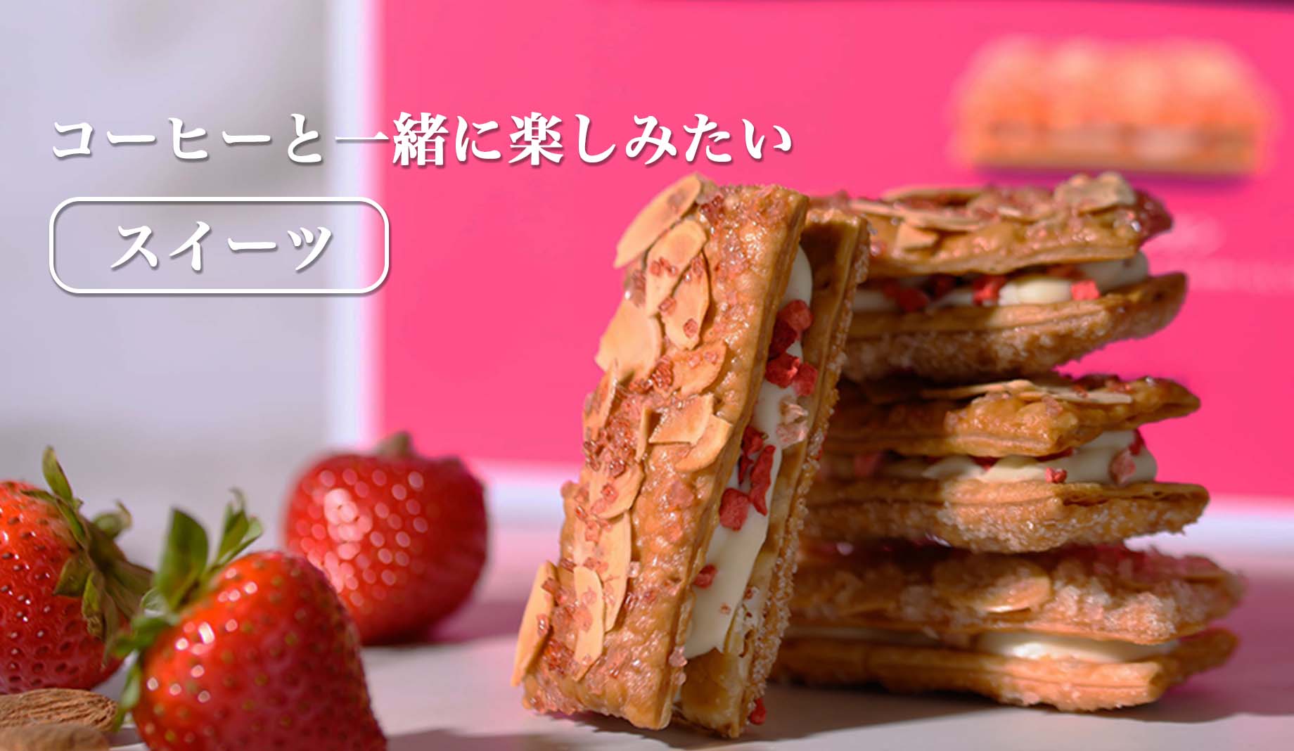 カテゴリ画像