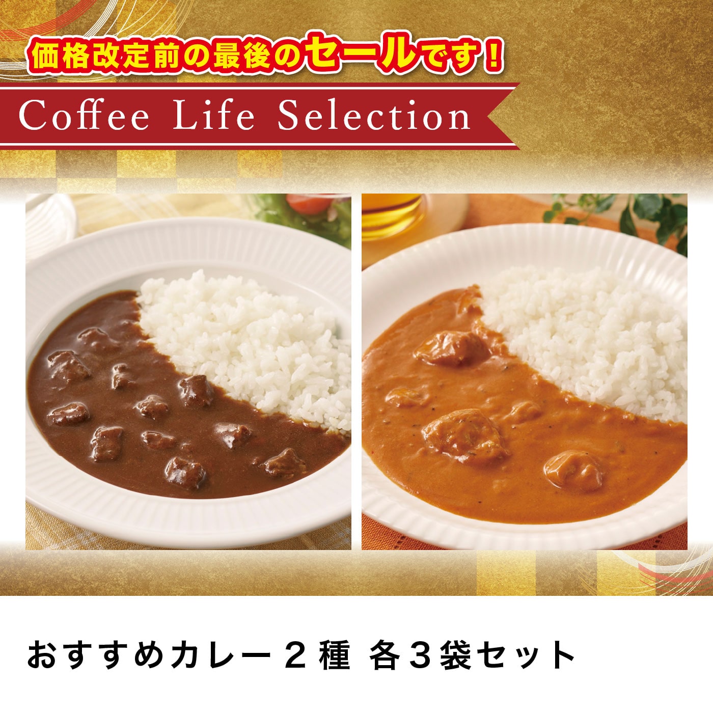 おすすめカレー 2種 各3袋セット
