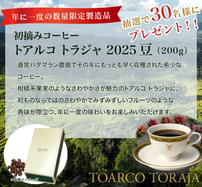 年に一度の数量限定製造品『初摘みコーヒー トアルコ トラジャ2025
        抽選で30名様にプレゼント！！