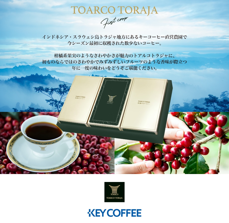 初摘みコーヒー トアルコ トラジャ