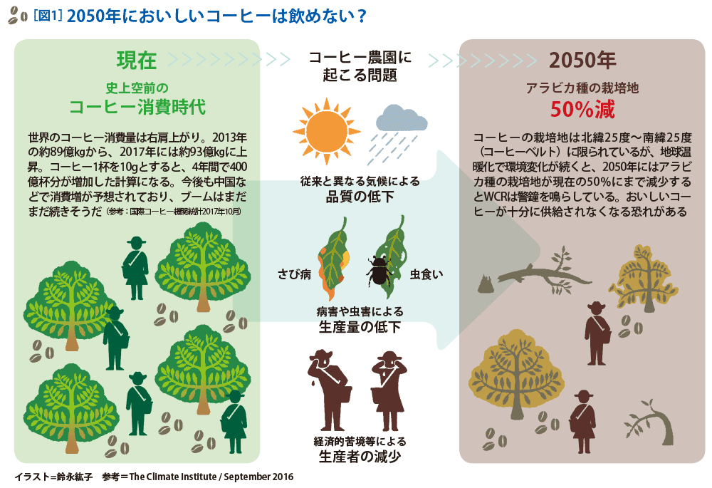 コーヒーの50年問題 For Sustainable Coffee Production キーコーヒー株式会社